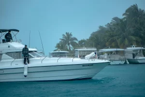 Hurricane Season Prep Guide
